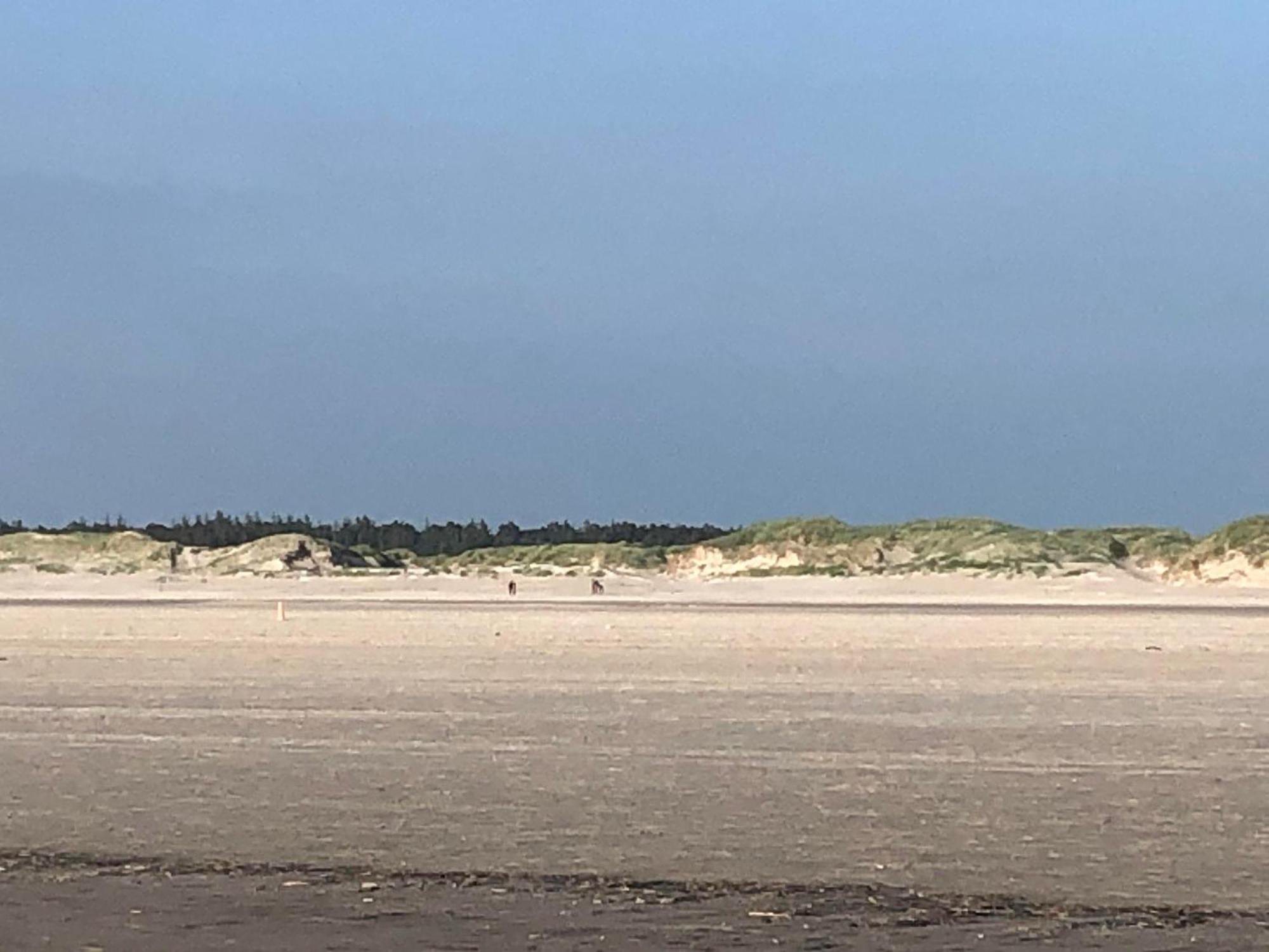 ווסטרהבר Haubarg Alte Strandvogtei מראה חיצוני תמונה